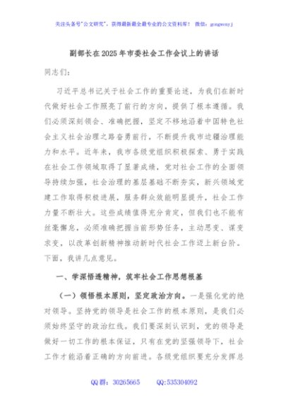 副部长在2025年市委社会工作会议上的讲话