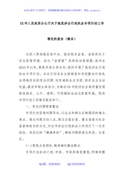 XX市人民政府办公厅关于规范涉企行政执法专项行动工作情况的报告（精品）