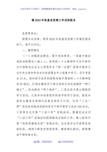 镇2023年抓基层党建工作述职报告
