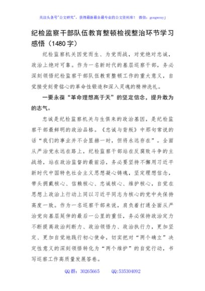 纪检监察干部队伍教育整顿检视整治环节学习感悟