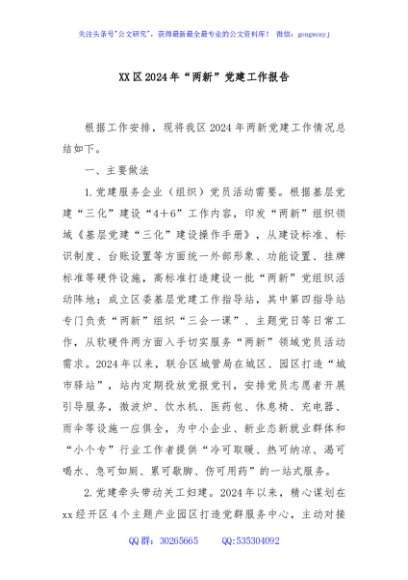 XX区2024年“两新”党建工作报告