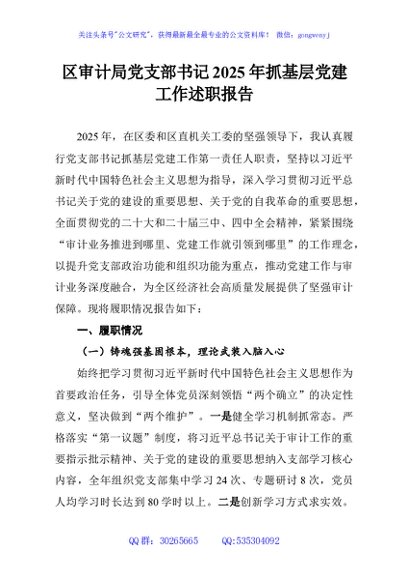 区审计局党支部书记2025年抓基层党建工作述职报告
