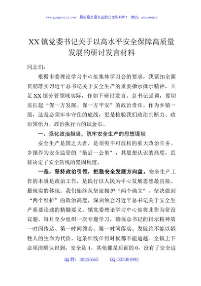 XX镇党委书记关于以高水平安全保障高质量发展的研讨发言材料