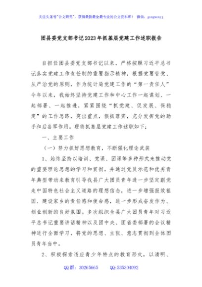 团县委党支部书记2023年抓基层党建工作述职报告