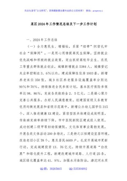 某区2024年工作情况总结及下一步工作计划