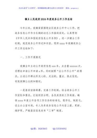 镇乡人民政府2024年度政务公开工作总结