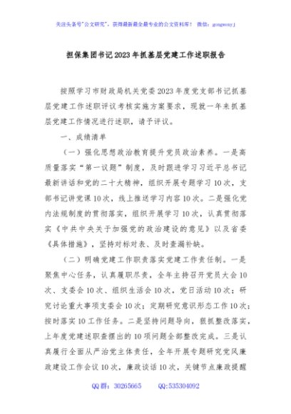 担保集团书记2023年抓基层党建工作述职报告