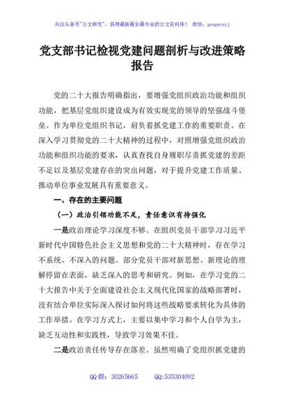 党支部书记检视党建问题剖析与改进策略报告
