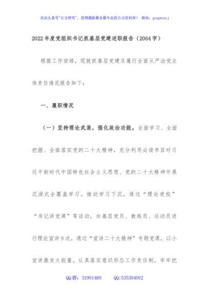 2022年度党组织书记抓基层党建述职报告