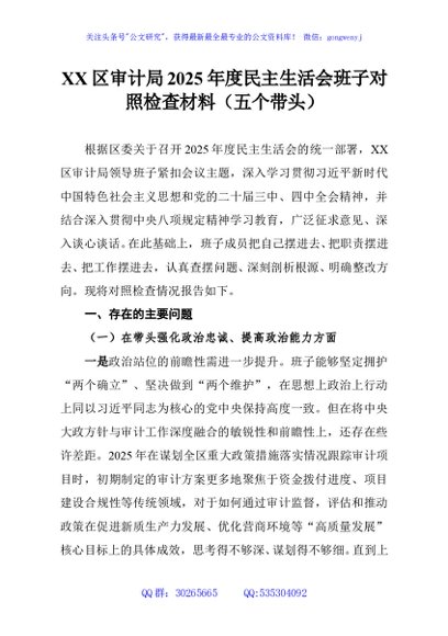 XX区审计局2025年度民主生活会班子对照检查材料（五个带头）