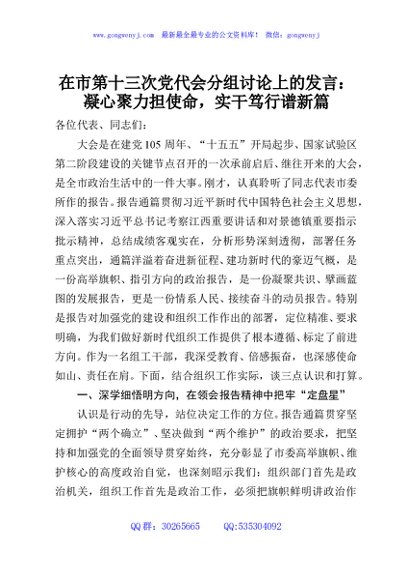 在市第十三次党代会分组讨论上的发言：凝心聚力担使命，实干笃行谱新篇