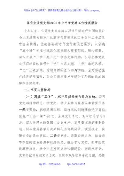 国有企业党支部2025年上半年党建工作情况报告