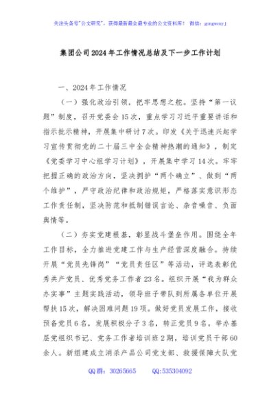 集团公司2024年工作情况总结及下一步工作计划