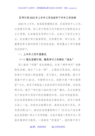 区审计局2025年上半年工作总结和下半年工作安排