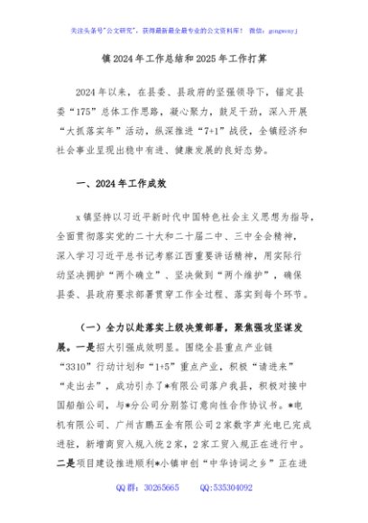 镇2024年工作总结和2025年工作打算