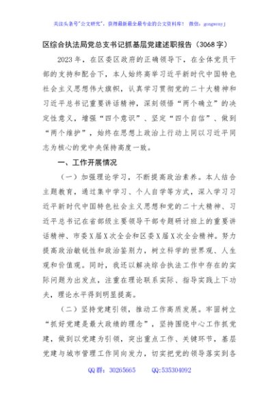 区综合执法局党总支书记抓基层党建述职报告