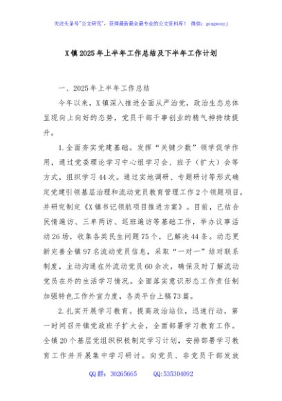 X镇2025年上半年工作总结及下半年工作计划