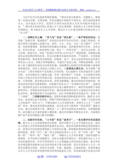 组织部长人才振兴座谈会发言提纲