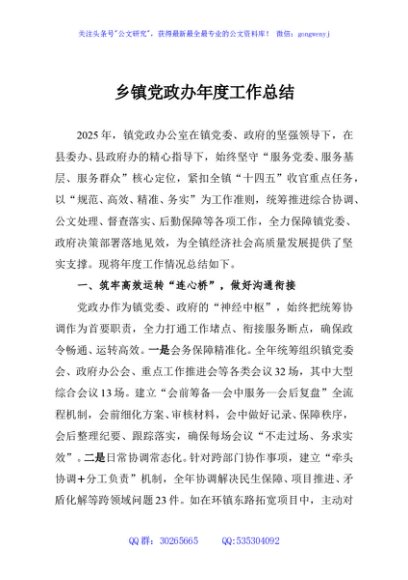 乡镇党政办年度工作总结