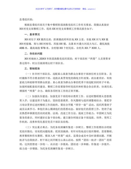 XX镇XX村整顿工作情况报告