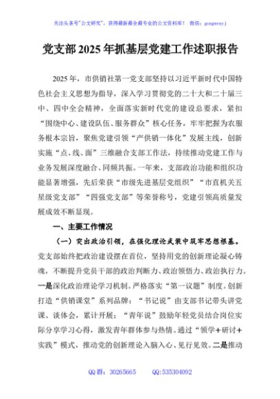 党支部2025年抓基层党建工作述职报告