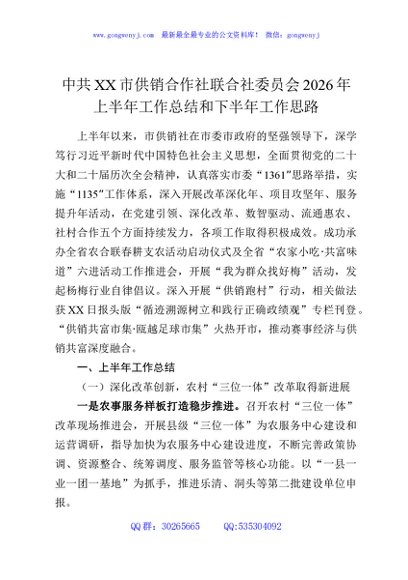 中共XX市供销合作社联合社委员会2026年上半年工作总结和下半年工作思路
