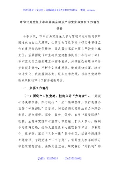 市审计局党组上半年落实全面从严治党主体责任工作情况报告