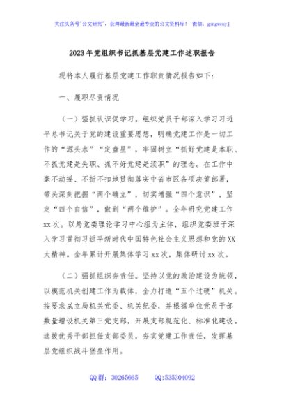 2023年党组织书记抓基层党建工作述职报告