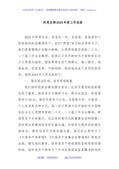 村党支部2024年度工作总结