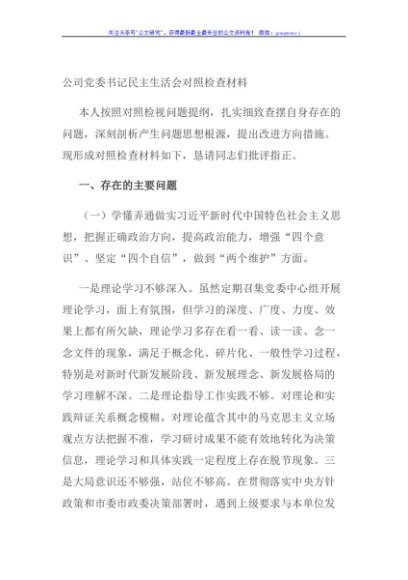 公司党委书记民主生活会对照检查材料