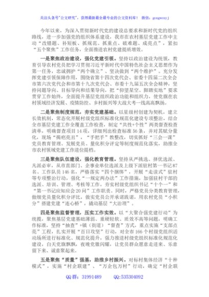 农村基层党建引领乡村振兴交流发言