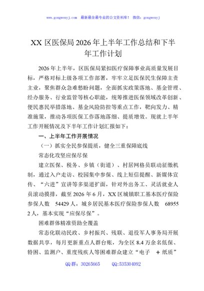 XX区医保局2026年上半年工作总结和下半年工作计划