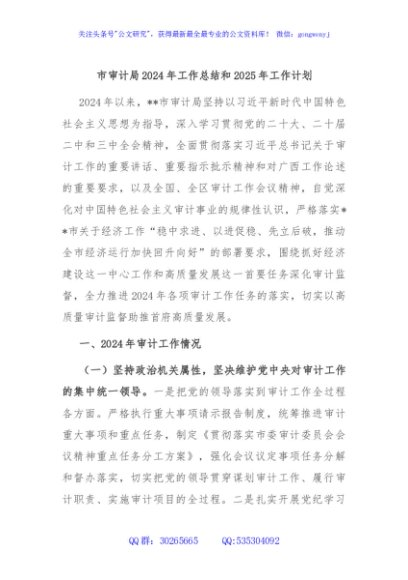 市审计局2024年工作总结和2025年工作计划