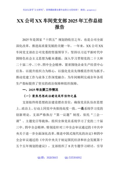 XX公司XX车间党支部2025年工作总结报告