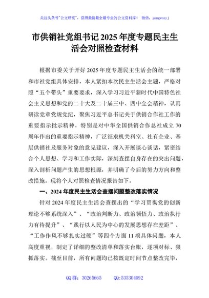 市供销社党组书记2025年度专题民主生活会对照检查材料