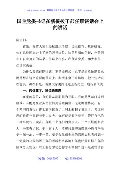 国企党委书记在新提拔干部任职谈话会上的讲话