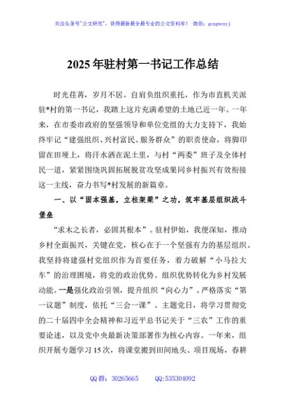 2025年驻村第一书记工作总结