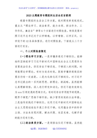 2023主题教育专题组织生活会发言提纲