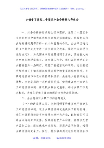 乡镇学习党的二十届三中全会精神心得体会