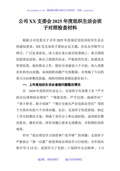 公司XX支委会2025年度组织生活会班子对照检查材料