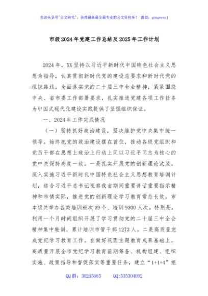 市级2024年党建工作总结及2025年工作计划