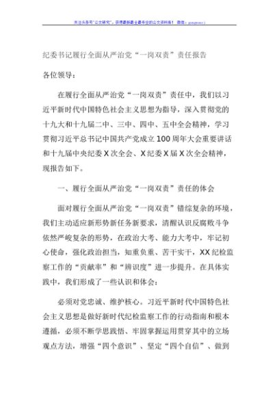 纪委书记履行全面从严治党“一岗双责”责任报告