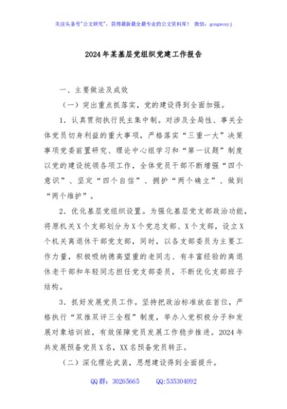 2024年某基层党组织党建工作报告
