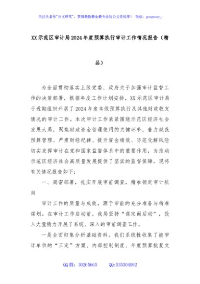 XX示范区审计局2024年度预算执行审计工作情况报告（精品）