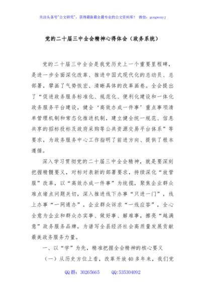 党的二十届三中全会精神心得体会（政务系统）