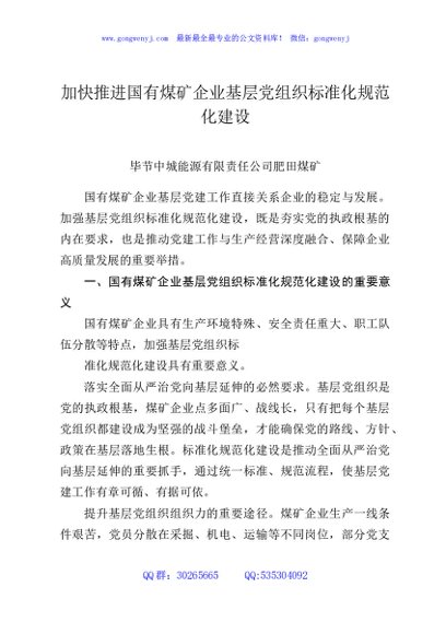 加快推进国有煤矿企业基层党组织标准化规范化建设