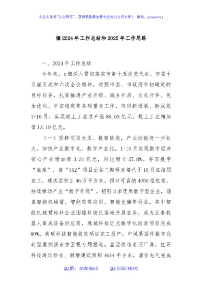 镇2024年工作总结和2025年工作思路