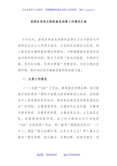 县税务局党支部抓基层党建工作情况汇报