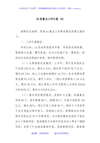 XX县重点工作汇报 (5)