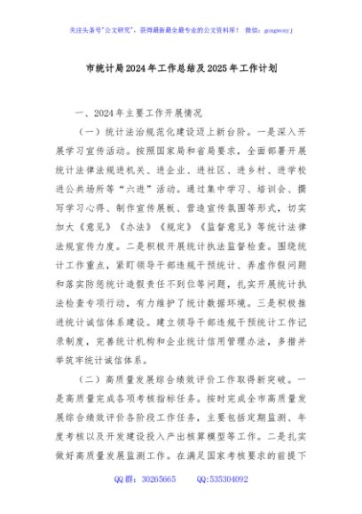 市统计局2024年工作总结及2025年工作计划